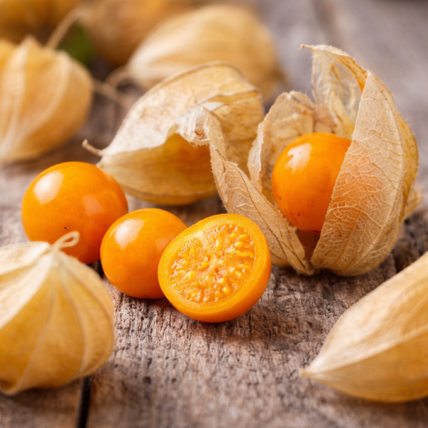 Cape Gooseberry