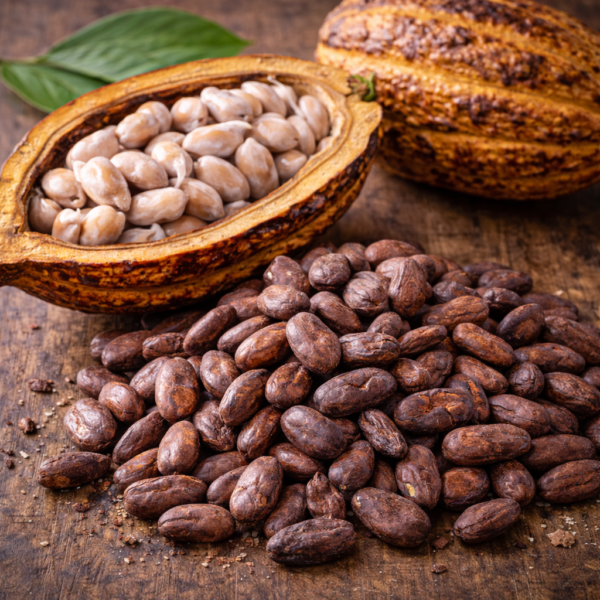 Cacao